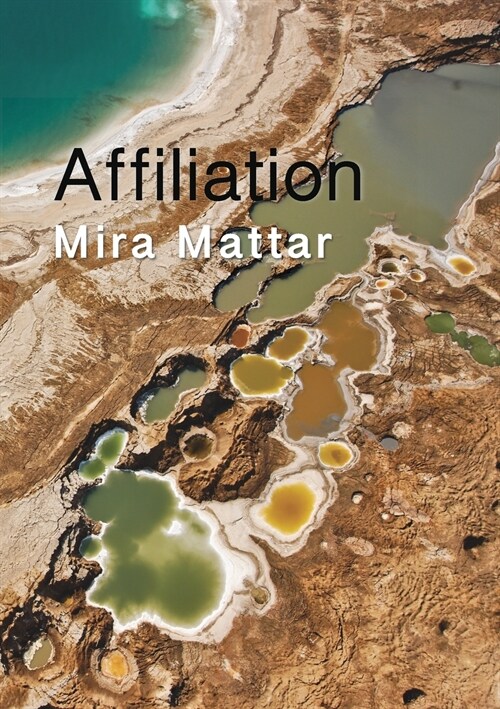 Affiliation (Paperback)