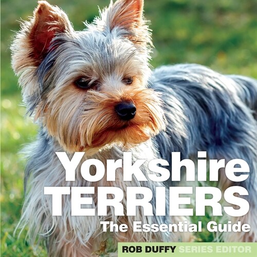 Yorkshire Terriers : The Essential Guide (Paperback)