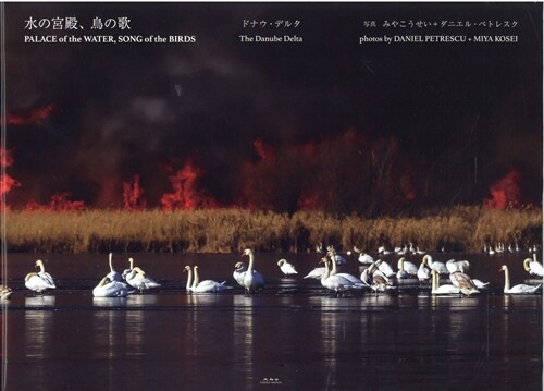 水の宮殿、鳥の歌