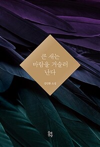 큰 새는 바람을 거슬러 난다 :김민환 소설 