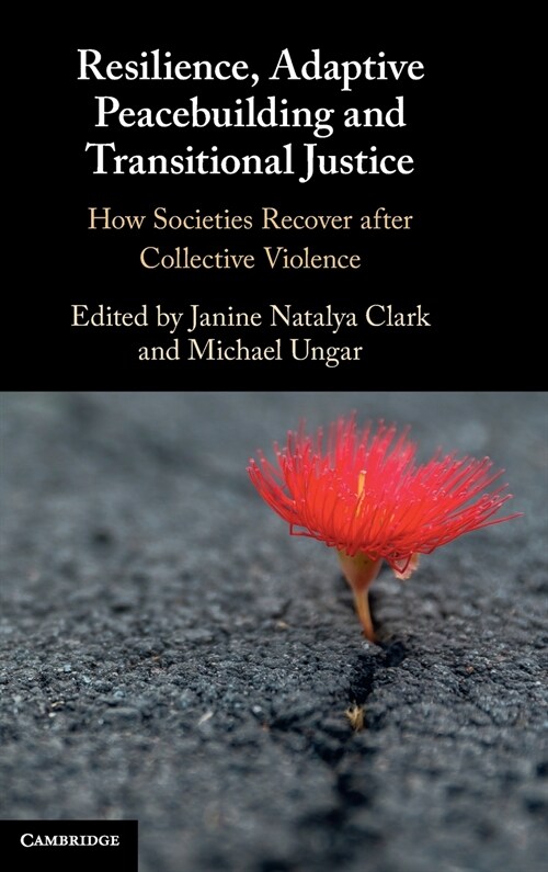 Resilience, Adaptive Peacebuilding and Transitional Justice : How Societies Recover after Collective Violence (Hardcover)