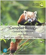Campbell Biology: Concepts & Connections, Global Edition (Paperback, 10 ed)