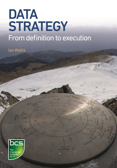 Data Strategy : From definition to execution (Paperback)