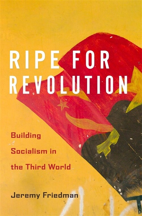 Ripe for Revolution: Building Socialism in the Third World (Hardcover)