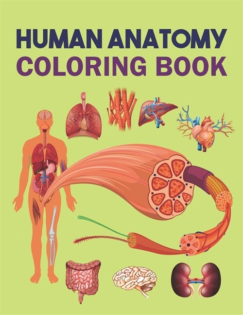 Human Anatomy Coloring Book (Paperback)