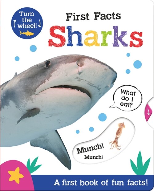 First Facts Sharks (Board Book)