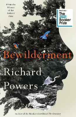 Bewilderment (Paperback)