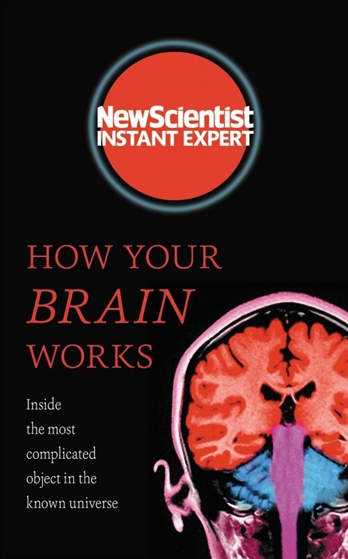 How Your Brain Works : Inside the most complicated object in the known universe (Paperback)