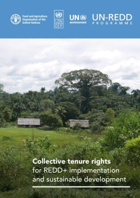Collective Tenure Rights for REDD+ Implementation and Sustainable Development (Paperback)