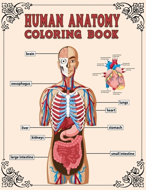Human Anatomy Coloring Book: Human Body Anatomy & Physiology Coloring Book For Children & Teens or Medical Student to Know About Human Body A Self- (Paperback)
