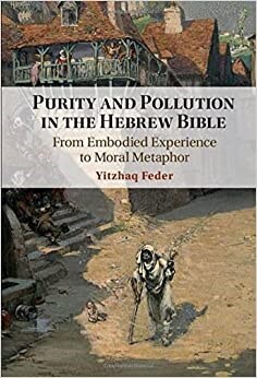 Purity and Pollution in the Hebrew Bible : From Embodied Experience to Moral Metaphor (Hardcover)