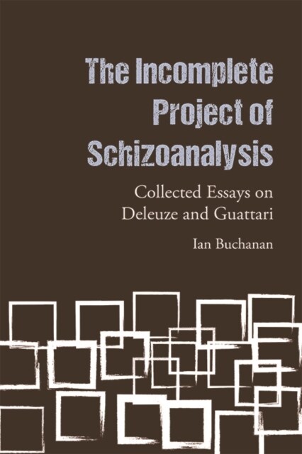 The Incomplete Project of Schizoanalysis : Collected Essays on Deleuze and Guattari (Paperback)