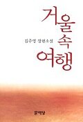 거울속 여행:김주영 장편소설