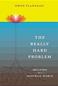 [중고] The Really Hard Problem: Meaning in a Material World (Paperback)