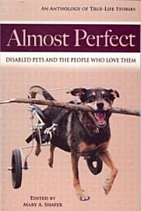 Almost Perfect (Paperback)