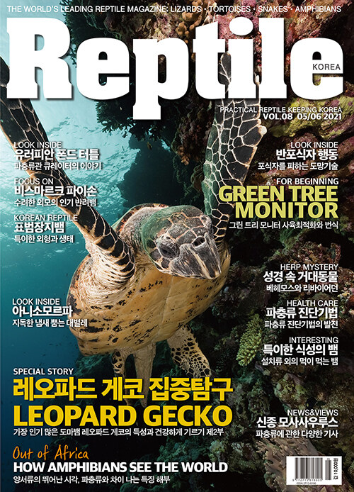 Reptile KOREA 렙타일 코리아 2021.5.6