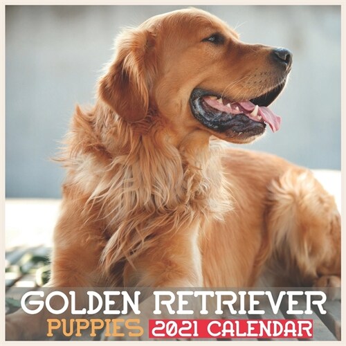 Golden Retriever Puppies 2021 Calendar: Cute Animal Golden Retriever Puppies Wall & Office Calendar 2021-2022, 16 Month Calendar (Paperback)