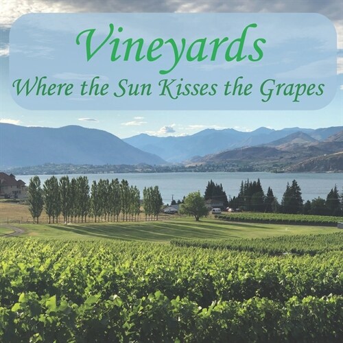Vineyards: Where the Sun Kisses the Grapes (Paperback)