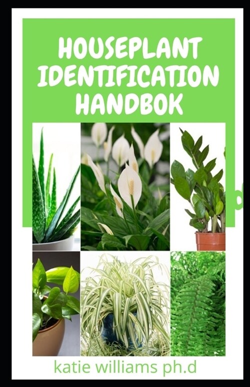 Houseplant Identification Handbok: Complete Guide for Palms, Bulbs, Ferns, Cacti, Succulents, Flowering Plants, and More (Paperback)