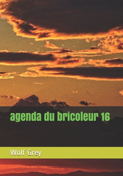 agenda du bricoleur 16 (Paperback)