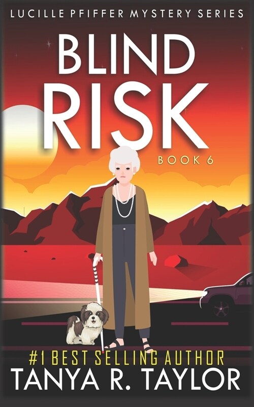 Blind Risk (Paperback)