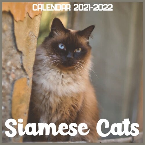 Siamese Cats Calendar 2021-2022: April 2021 Through December 2022 Square Photo Book Monthly Planner Siamese Cats, small calendar (Paperback)