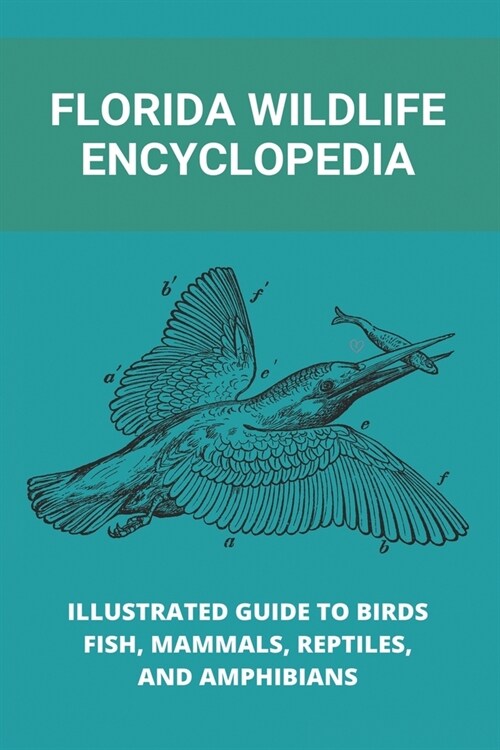 Florida Wildlife Encyclopedia: Illustrated Guide To Birds, Fish, Mammals, Reptiles, And Amphibians: Freshwater Fishing In Florida (Paperback)