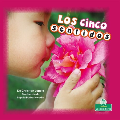 Los Cinco Sentidos (Our Five Senses) (Paperback)