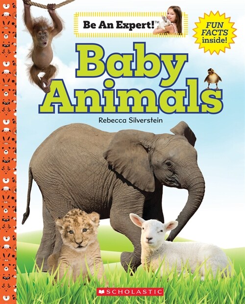 Baby Animals (Be an Expert!) (Hardcover)