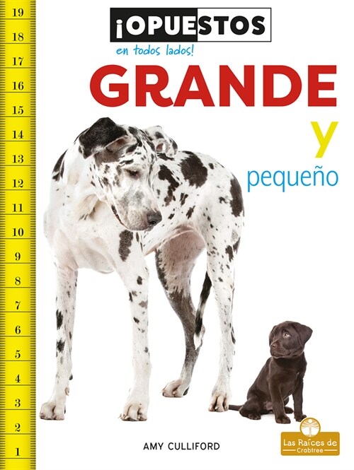 Grande Y Peque? (Big and Small) (Library Binding)