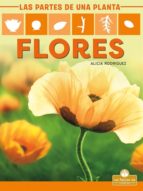 Flores (Flowers) (Library Binding)