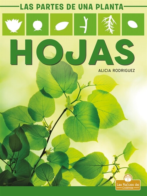 Hojas (Leaves) (Library Binding)