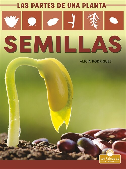 Semillas (Seeds) (Library Binding)