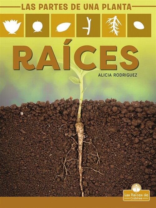 Ra?es (Roots) (Paperback)