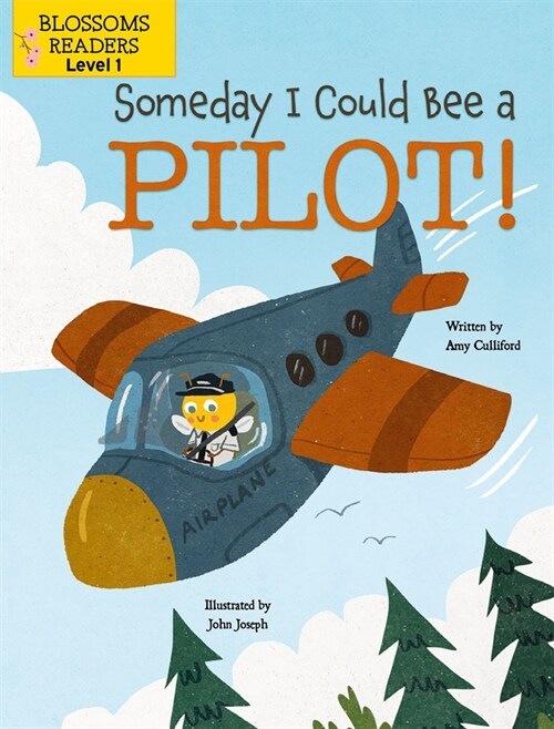 Someday I Could Bee a Pilot! (Paperback)