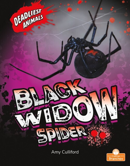 Black Widow Spider (Paperback)