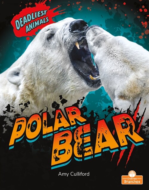 Polar Bear (Paperback)