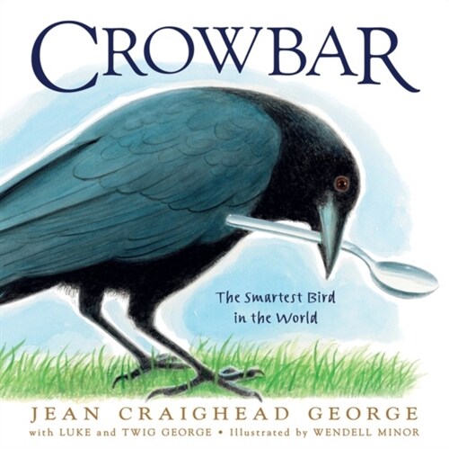 [중고] Crowbar: The Smartest Bird in the World (Hardcover)