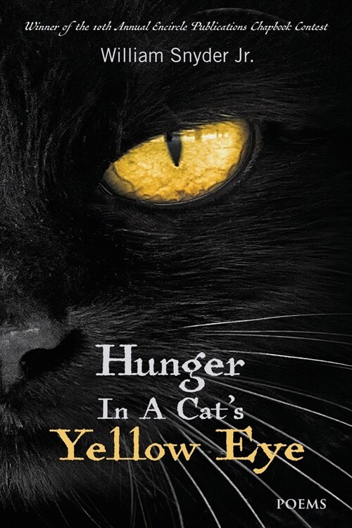 Hunger In A Cats Yellow Eye (Paperback)