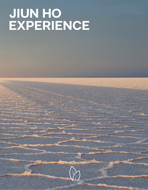 Jiun Ho: Experience (Hardcover)