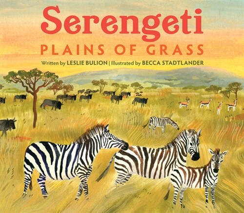 Serengeti: Plains of Grass (Hardcover)