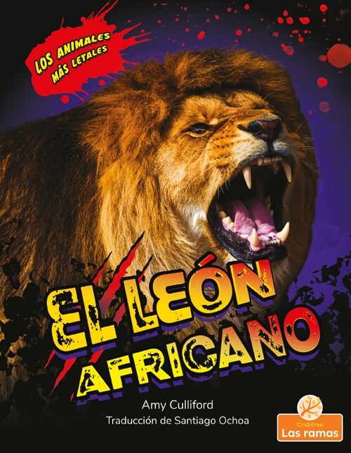 El Le? Africano (African Lion) (Library Binding)