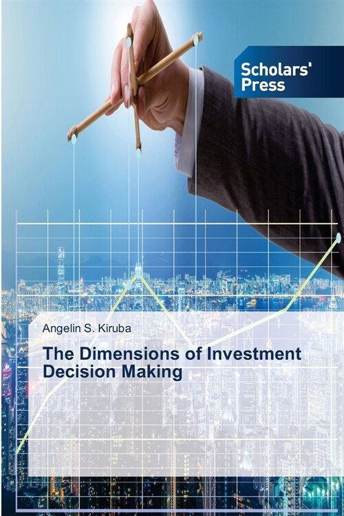 The Dimensions of Investment Decision Making (Paperback)