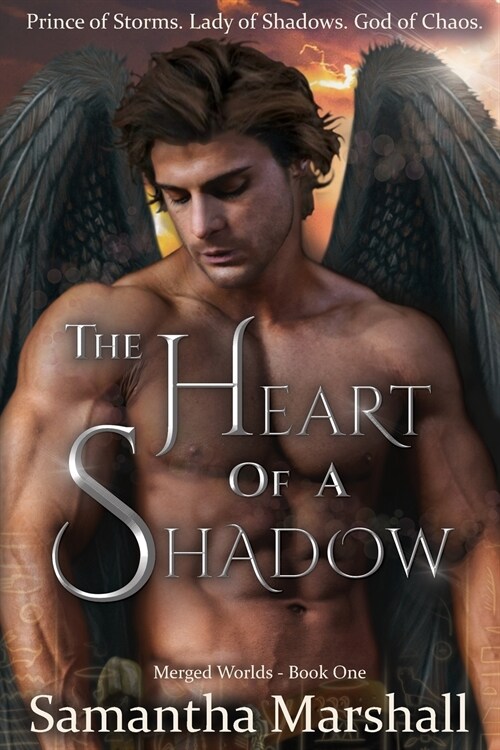 The Heart of a Shadow (Paperback)