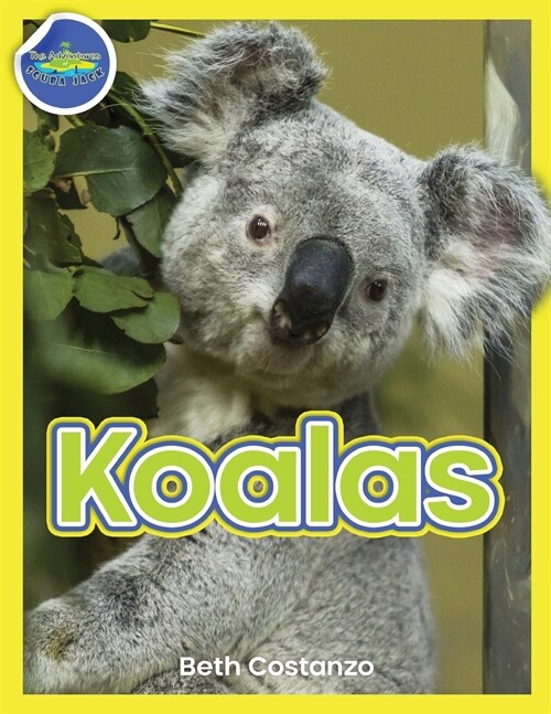 Koala Activity Workbook ages 4-8 (Paperback)