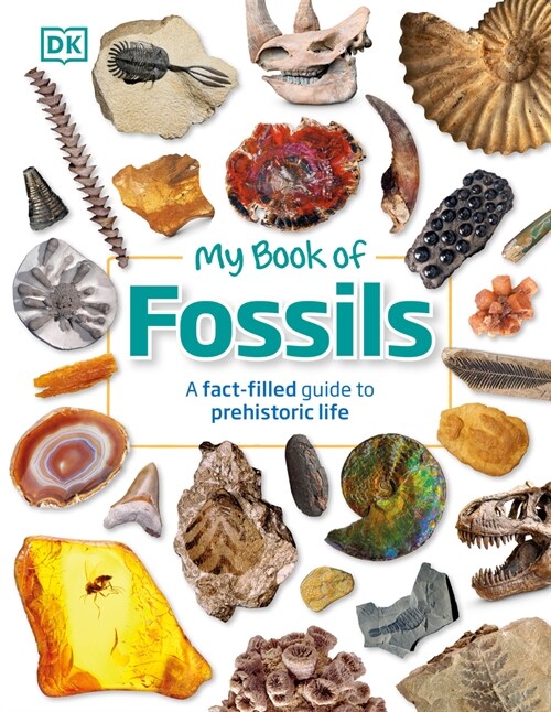 My Book of Fossils: A Fact-Filled Guide to Prehistoric Life (Hardcover)