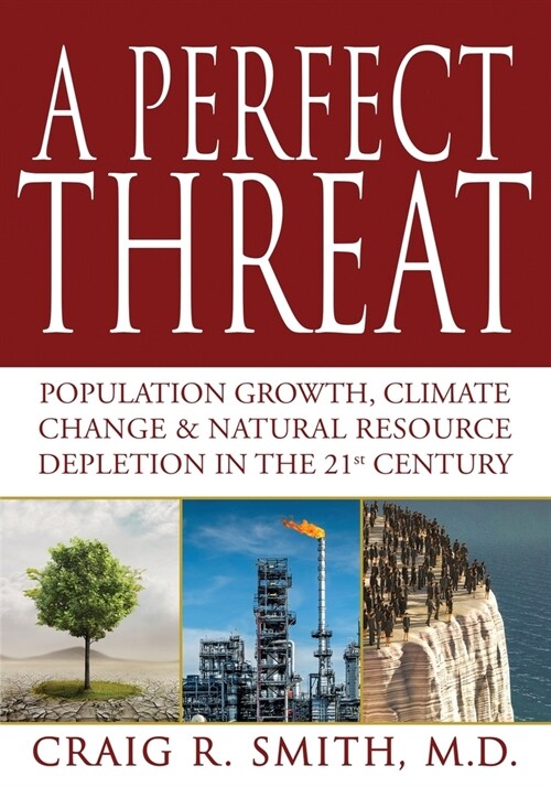 A Perfect Threat (Paperback)