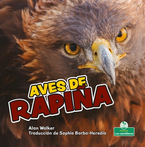 Aves de Rapi? (Birds of Prey) (Library Binding)