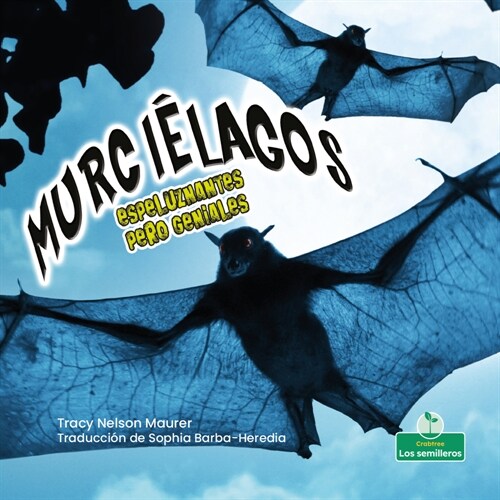 Murci?agos Espeluznantes Pero Geniales (Creepy But Cool Bats) (Paperback)