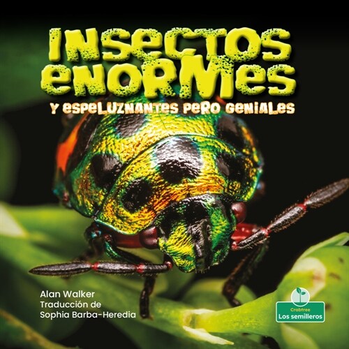 Insectos Enormes Y Espeluznantes Pero Geniales (Creepy But Cool Beastly Bugs) (Paperback)